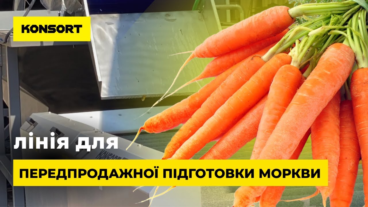 Конвейерная автоматизация для моркови 🥕