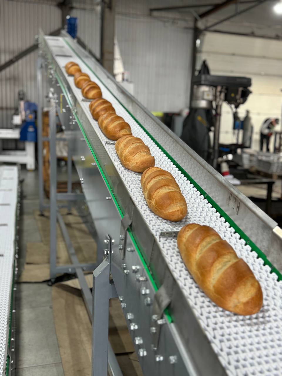 Транспортировочный конвейер для хлеба 🥖