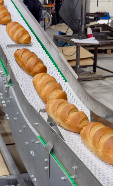 Transport conveyor for bread 🥖