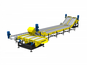 Pasta processing line