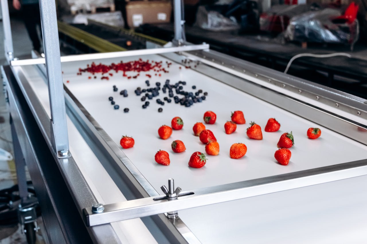 Conveyor equipment for berries, fruits, vegetables and nuts